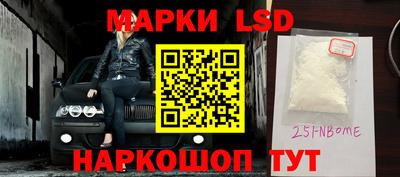 хмурый Сланцы