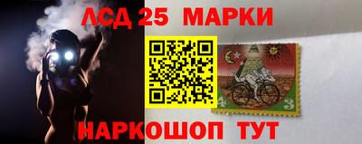 хмурый Сланцы