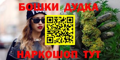 хмурый Сланцы