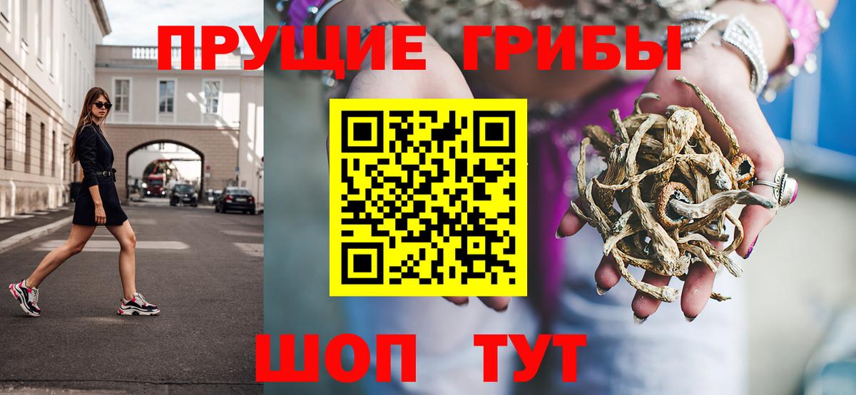 Псилоцибиновые грибы Psilocybine cubensis Новосибирск